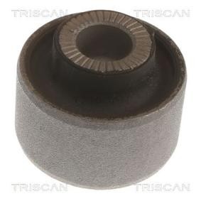 Lagerung, Lenker von TRISCAN