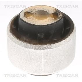 Lagerung, Lenker von TRISCAN