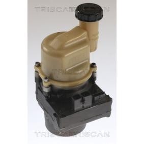 Servopumpe von TRISCAN