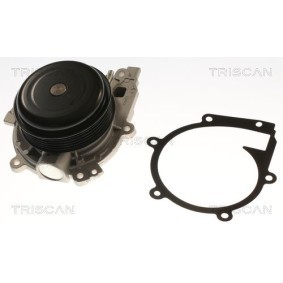 Wasserpumpe 8600 23102 von TRISCAN günstig für 131,20 € online kaufen