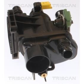 Kühlwasserthermostat von TRISCAN