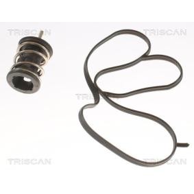 Kühlwasserthermostat von TRISCAN