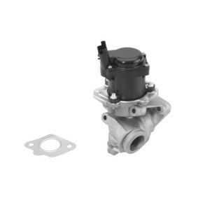 Comprar Válvula EGR de BTS TURBO A100010BL a bajo precio de 128,50 €