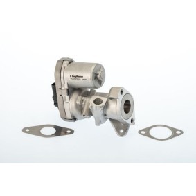 Comprar Válvula EGR de BTS TURBO A100011 a bajo precio de 183,11 €