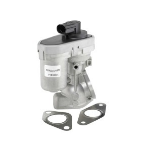 Comprar Válvula EGR de BTS TURBO A100011BL a bajo precio de 160,69 €
