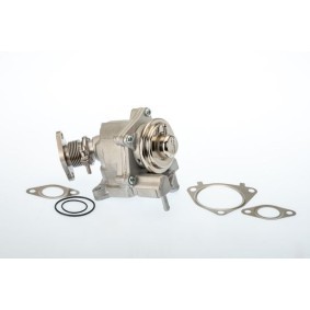 Comprar Válvula EGR de BTS TURBO A100094 a bajo precio de 111,14 €