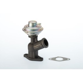 Comprar Válvula EGR de BTS TURBO A100105 a bajo precio de 85,63 €