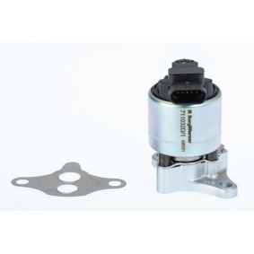 Comprar Válvula EGR de BTS TURBO A100118 a bajo precio de 79,99 €