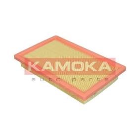 Luftfilter F261101