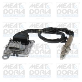 NOx-Sensor, NOx-Katalysator von MEAT & DORIA