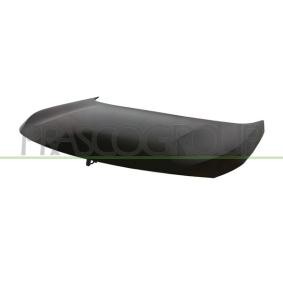 Motorhaube PG5243100