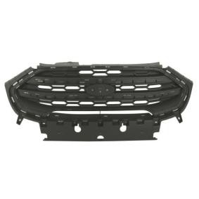Kühlergrill 6502-07-2588995P