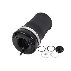 Acquista Soffietto, Sospensione pneumatica da ABAKUS 131-02-001 a buon mercato per soli 144,98 €