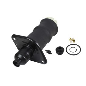 Acquista Soffietto, Sospensione pneumatica da ABAKUS 131-02-313 a buon mercato per soli 124,32 €