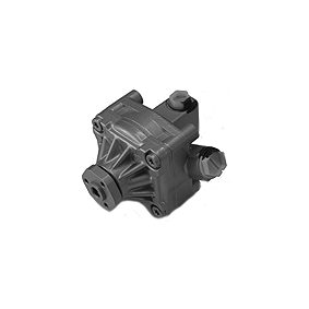Servopumpe 27010 für GTV (916C_) für 127,49 CHF