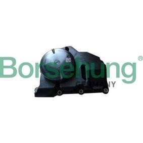 Køb Olieudskiller, udluftning af krumtaphus af Borsehung B11920 til den lave pris 424,08 DKK