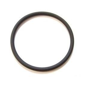 Dichtring 503.030
