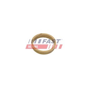 Comprar Mangueta de suspensión de FAST FT13564 a bajo precio de 91,42 €