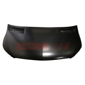 Motorhaube FT89005
