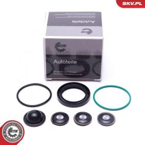 Achetez des Kit d'assemblage, pompe à carburant ESEN SKV 96SKV933 à prix pour 20,85 €