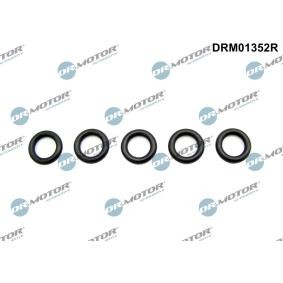 Dichtring, Ölablaßschraube DRM01352R