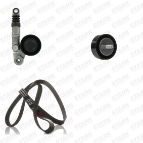 Keilrippenriemensatz SKRBS-1201198 für 159 (939) für 64,24 CHF