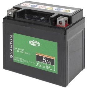 Osta Käynnistysakku QUANTUM ENERGY:llä 3623 edullisesti hintaan 46,20 €