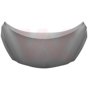 Motorhaube 3336660