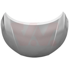 Motorhaube 3376660