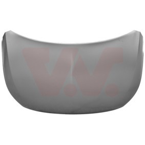 Motorhaube 3805660