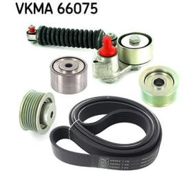 Keilrippenriemensatz VKMA 66075