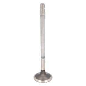 Comprar Válvula de escape de FEBI BILSTEIN 184142 a bajo precio de 48,16 €