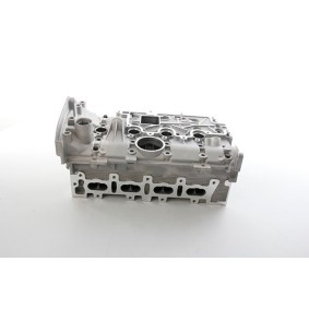 Zylinderkopf für RENAULT von BSG