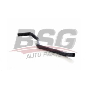 Osta Lämpöletku BSG:llä BSG 75-720-051 edullisesti hintaan 31,24 €