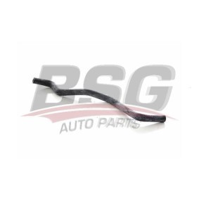 Heizungsschlauch für RENAULT von BSG