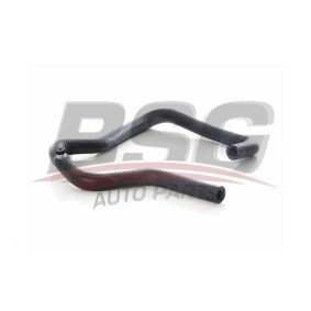 Osta Lämpöletku BSG:llä BSG 75-720-064 edullisesti hintaan 41,44 €