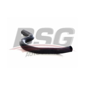 Osta Lämpöletku BSG:llä BSG 75-720-076 edullisesti hintaan 31,13 €