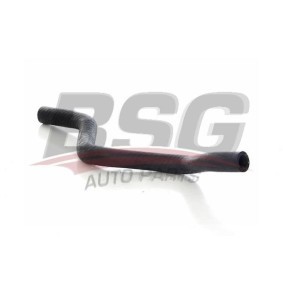 Heizungsschlauch BSG 75-720-083 von BSG günstig für 30,86 € online kaufen