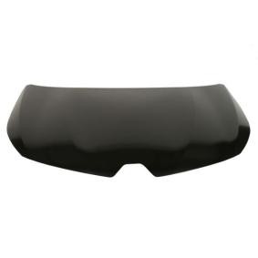 Scharnier, Motorhaube 6802-00-8179453P