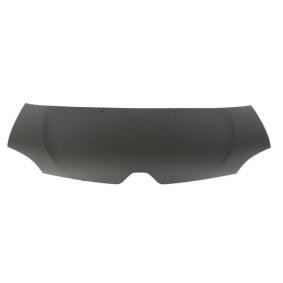 Scharnier, Motorhaube 6802-00-8179454P
