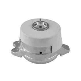 Motorlager TED42670