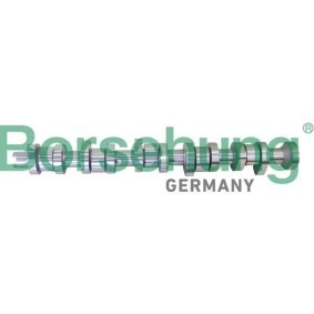 Nockenwelle von Borsehung