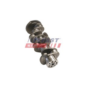 Schraube, Einspritzdüsenhalter FT51603