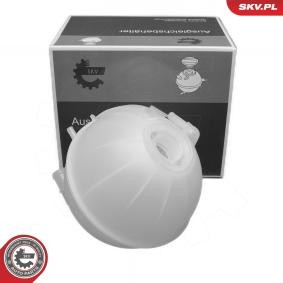 Ausgleichsbehälter 61SKV325