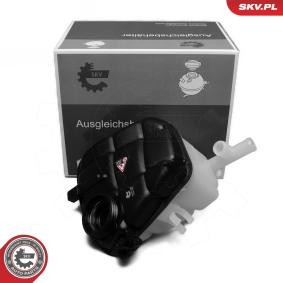 Ausgleichsbehälter 61SKV365