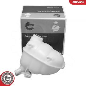 Ausgleichsbehälter 61SKV379