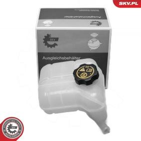 Ausgleichsbehälter 61SKV392