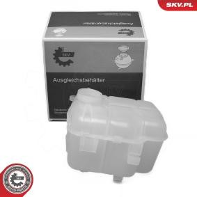 Ausgleichsbehälter 61SKV393