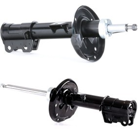Stoßdämpfer von RIDEX
