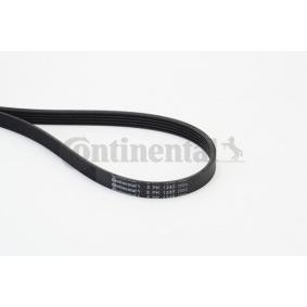 Keilrippenriemen 5PK1245